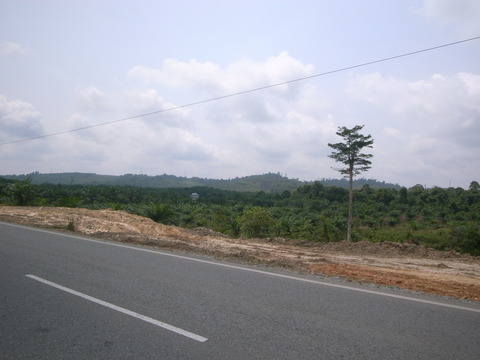 RIMG0006