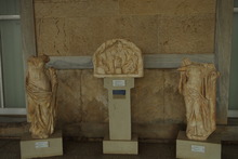 IMGP9489