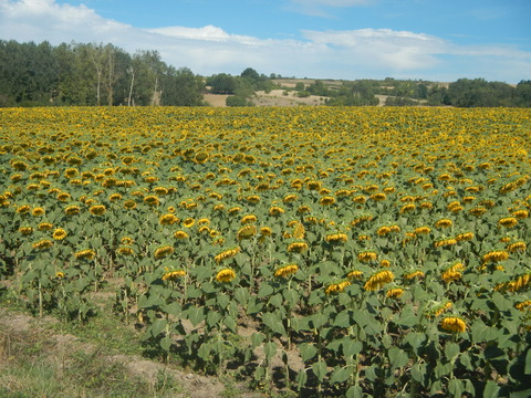 DSCN1869