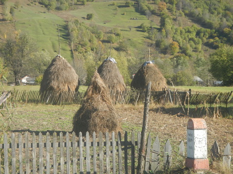 DSCN8314