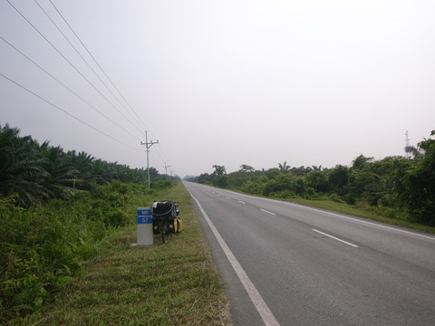 RIMG0039