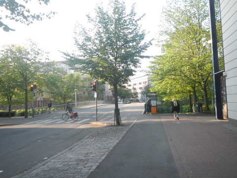 DSCN7220