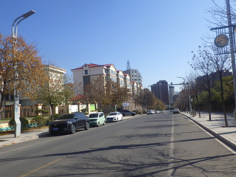 RIMG5609