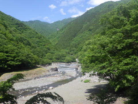 RIMG8487