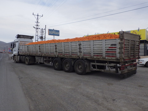 RIMG0822