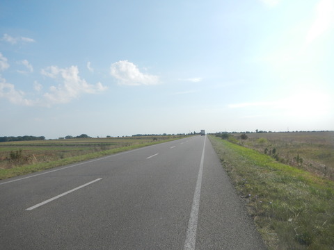 DSCN7753