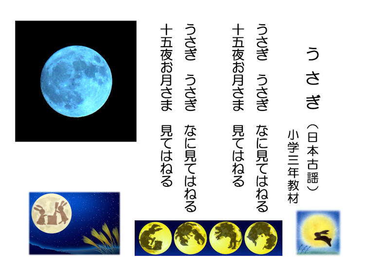 前月 19年10月 のボランティア 尺八と草花のつれづれ日記