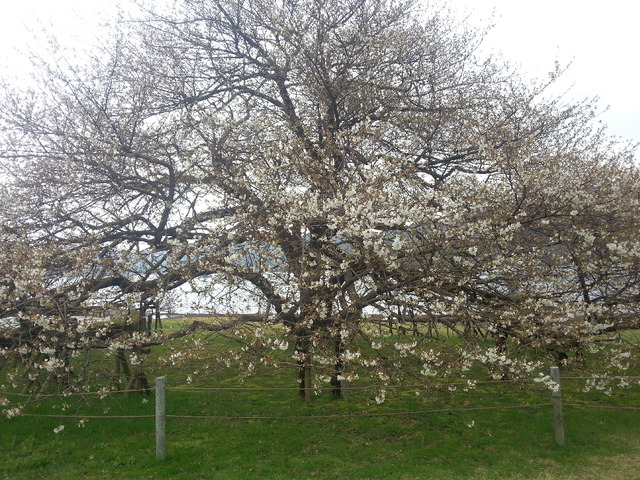20150418_142919