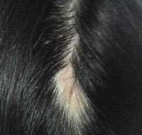 夜会巻きのその後 Kimono 淑女への道