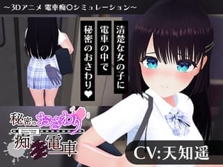 秘密のおさわり痴×電車