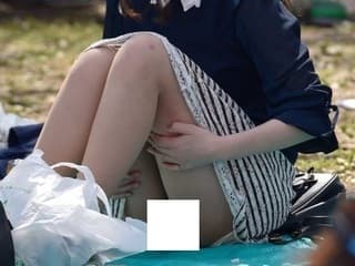 【画像】 お花見でパ●チラ祭りが開催されていた模様ｗｗｗｗｗ