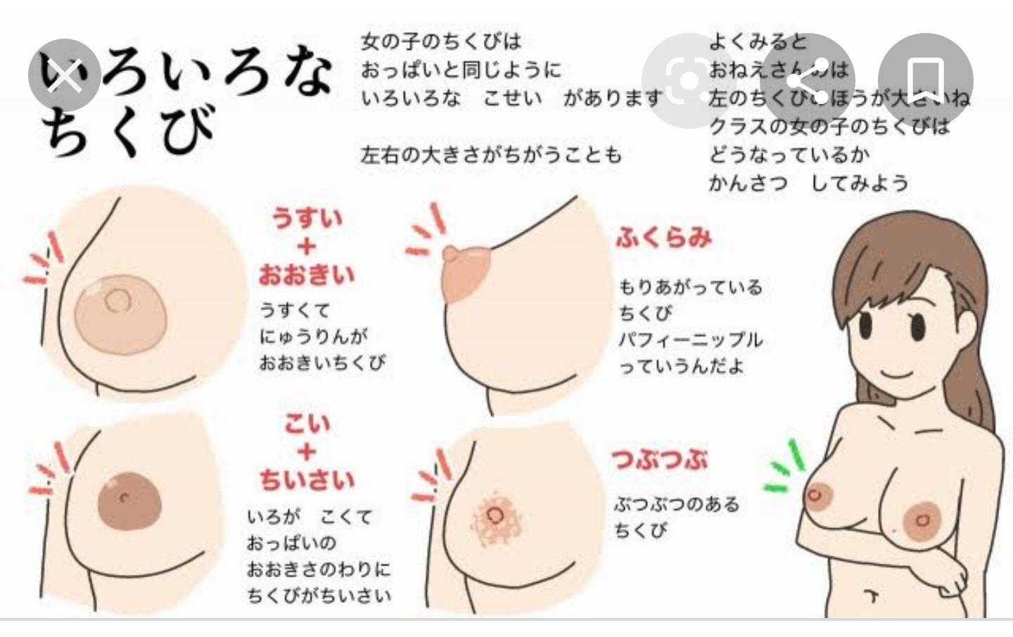 パフィーニップル 画像】「パフィーニップル」っていうおっぱいがあるの知ってた？ : ちょいエロ☆ニュース