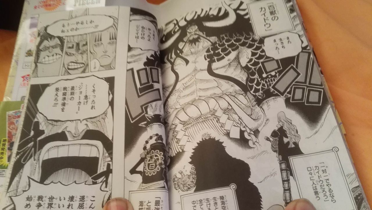 カイドウが能力者と判明したが以下の事が理解できないんだが 画像あり アニメちょいまとめ