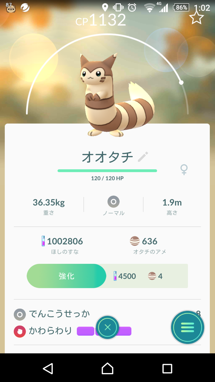 ポケモンgo画像 オオタチの可愛さがあざとい 確信 見た目に騙されると大変なことになるぞ ポケモンgoちょいまとめ
