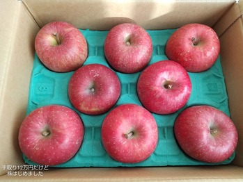 「アークス」と「meito」と「江崎グリコ」と「レイズネクスト」から株主優待が到着！