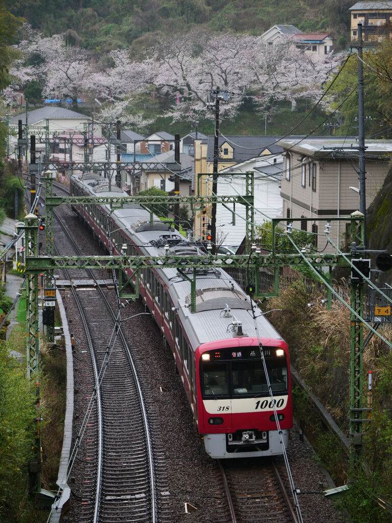 DENSYAでんしゃDENSYA】桜満開の頃 京急沿線散歩 “鉄道を撮る DENSYAでんしゃDENSYA】桜満開の頃 京急沿線散歩 “鉄道を撮る