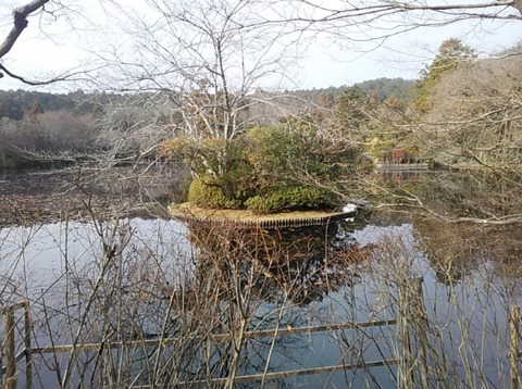 龍安寺09