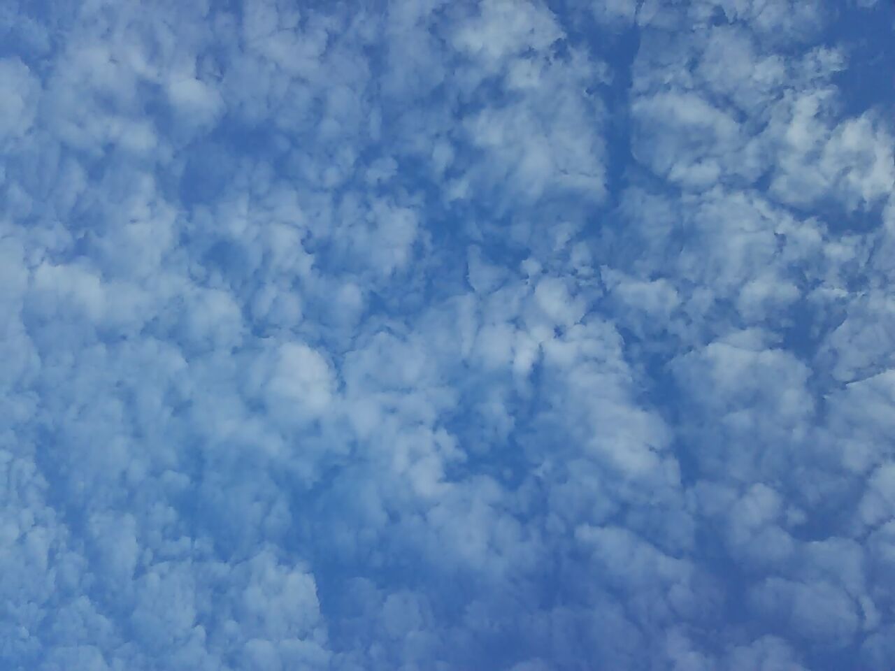 秋の空は さわやかで気持ち良い でも空と書くのはなぜ ピぴっ ぃぴっ タン の お告げ 秋の空は さわやかで気持ち良い でも空と書くのはなぜ ピぴっ ぃぴっ タン の お告げ