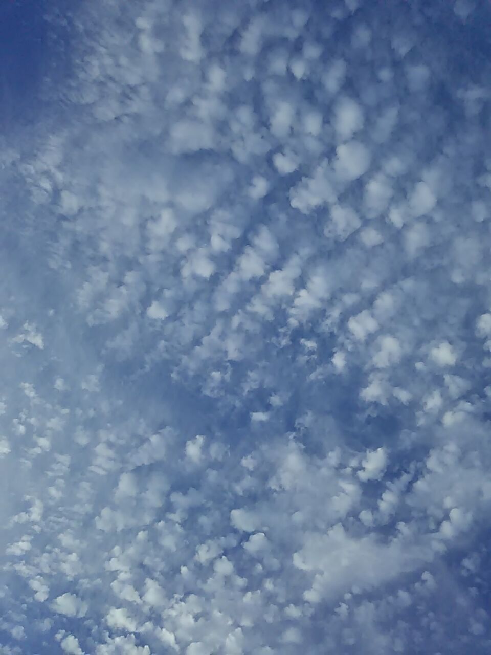 ふと空を見上げてみたら雲がきれいだった ピぴっ ぃぴっ タン の お告げ ふと空を見上げてみたら雲がきれいだった ピぴっ ぃぴっ タン の お告げ