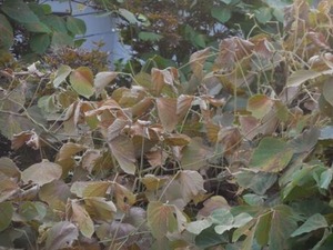 年08月 今日は 何しよう 年08月 今日は 何しよう