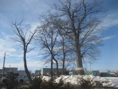 obihironosora01