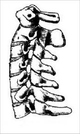 ktui