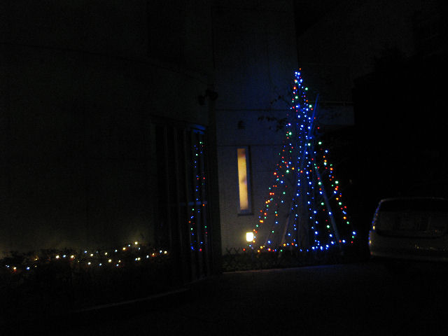 tree02
