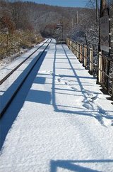 75e75285.jpg