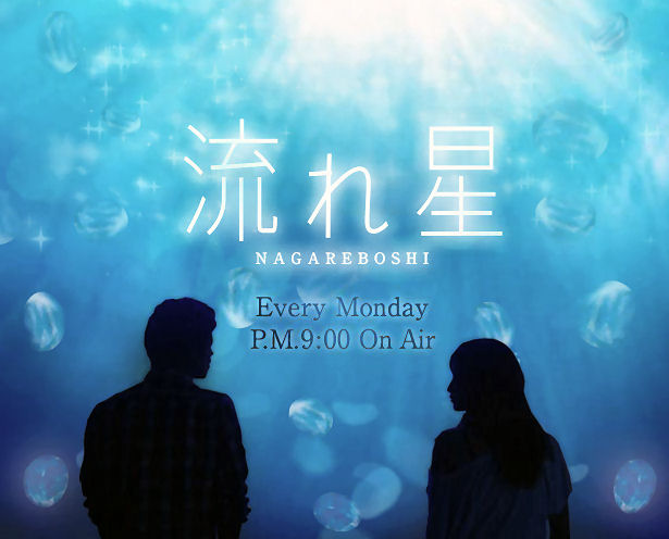 流星画像2