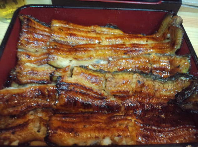 unagi01