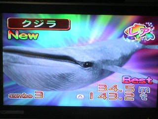 なかなかどうしてな日々のニュース Wii