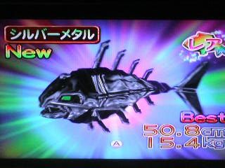 目指せ 釣りマスター 今日はくじらが釣れました なかなかどうしてな日々のニュース