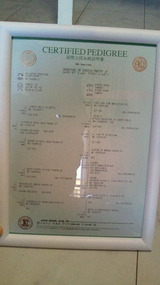 81008dc6.jpg