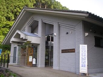 画像7
