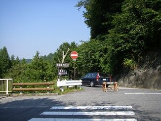 画像7