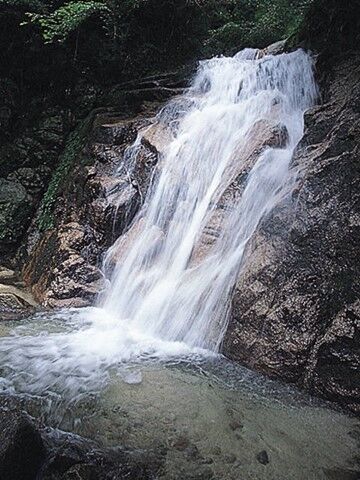 画像11