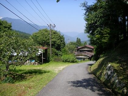 画像13