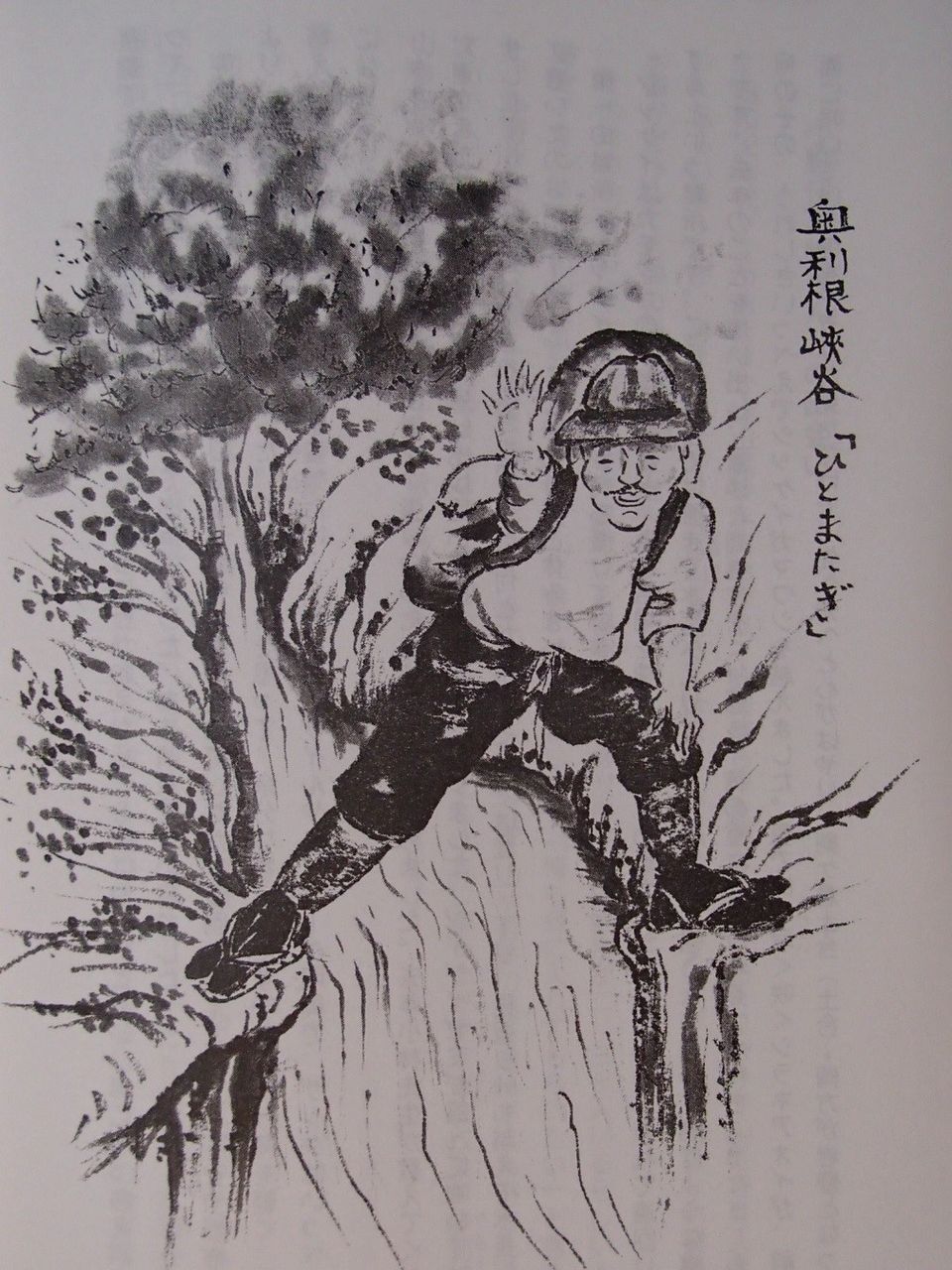 イメージ 5