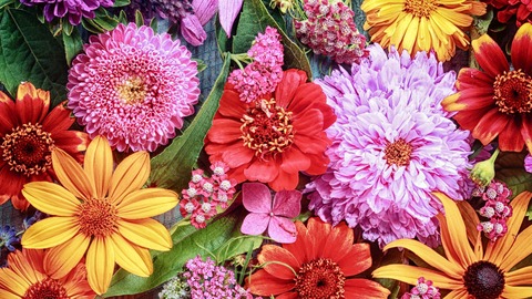 31202605_high_res_comp