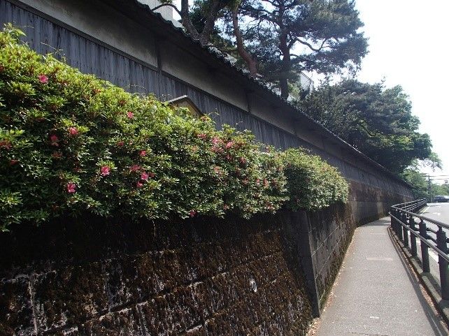 イメージ 4