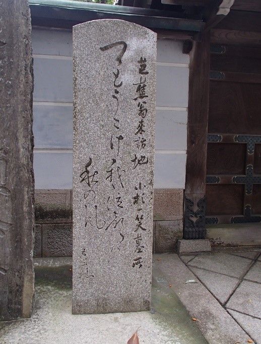 イメージ 6