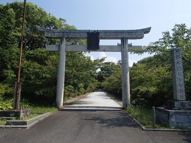 イメージ 7