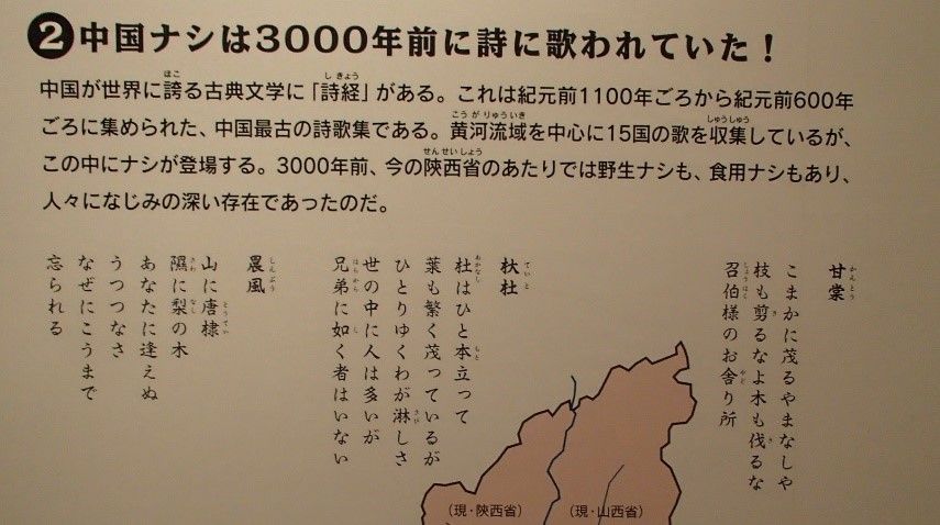 イメージ 10