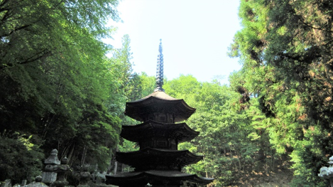 画像7