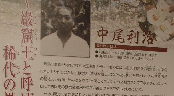 イメージ 5
