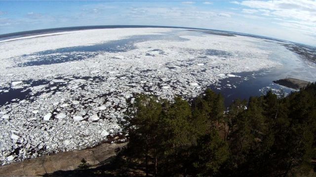 チャヤ川 (レナ川水系)