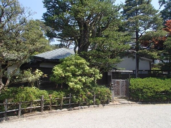 イメージ 5