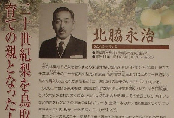 イメージ 6