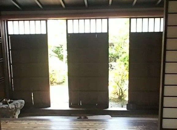 イメージ 7