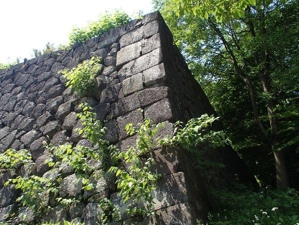 イメージ 6